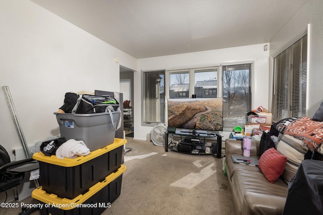 living room with carpet flooring