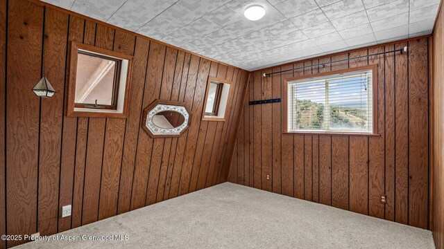 10467 County Road 320, Rifle, CO 81650 - photo 24