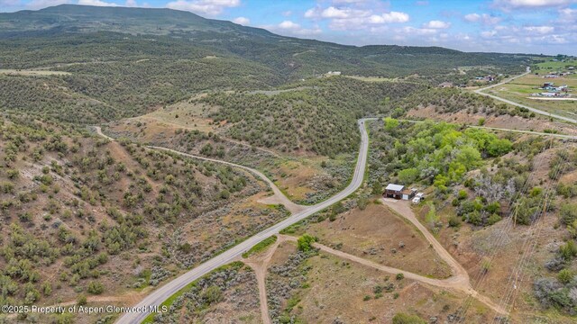 10467 County Road 320, Rifle, CO 81650 - photo 30