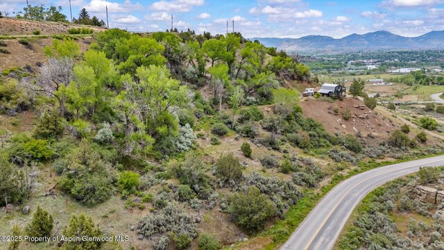 10467 County Road 320, Rifle, CO 81650 - photo 29