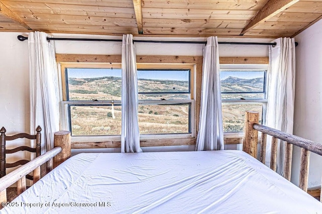 3547 Timberlane Dr Lot 586, Craig, CO 81625 - bedroom featuring wood ceiling