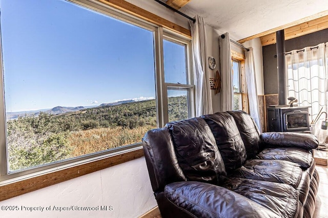 3547 Timberlane Dr Lot 586, Craig, CO 81625 - living area with a wood stove and plenty of natural light
