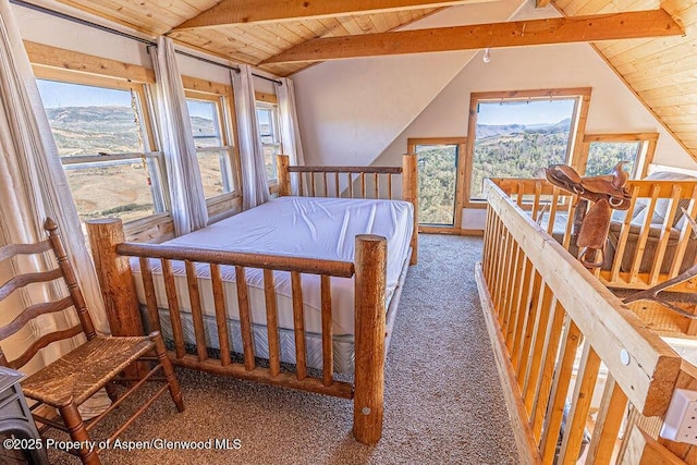 3547 Timberlane Dr Lot 586, Craig, CO 81625 - carpeted bedroom with wood ceiling and a mountain view