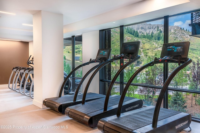 exercise room featuring light carpet and a mountain view