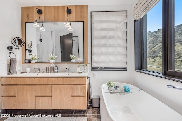 bathroom featuring vanity and a bathtub