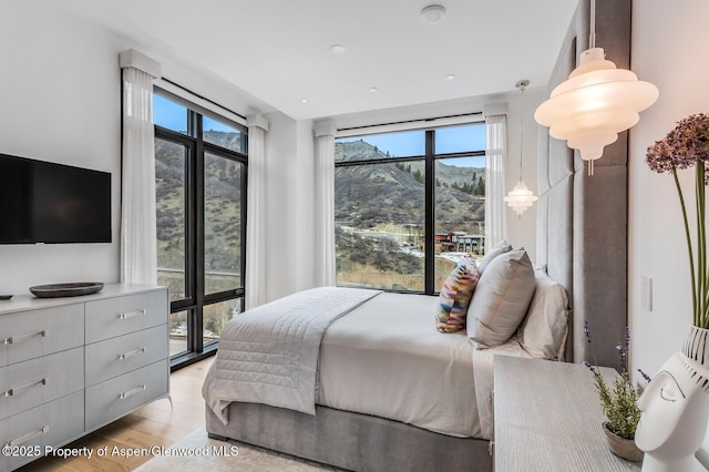 bedroom with a mountain view, light hardwood / wood-style floors, and multiple windows