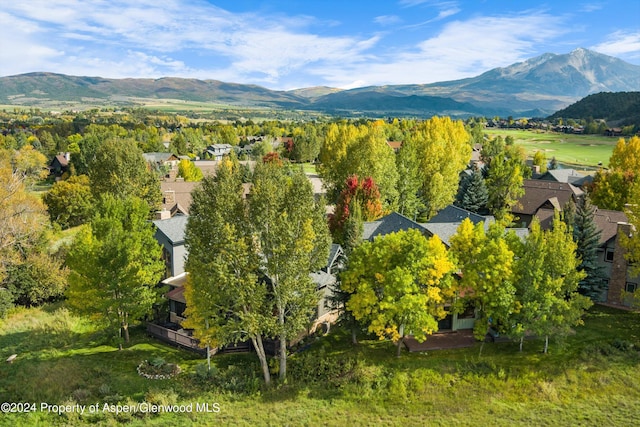 birds eye view of property featuring a mountain view