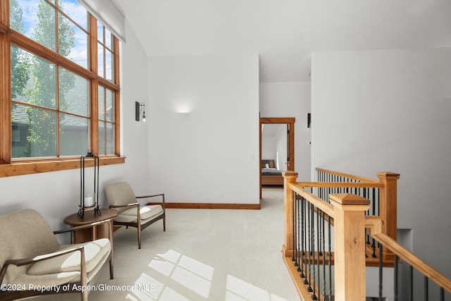 living area featuring light colored carpet