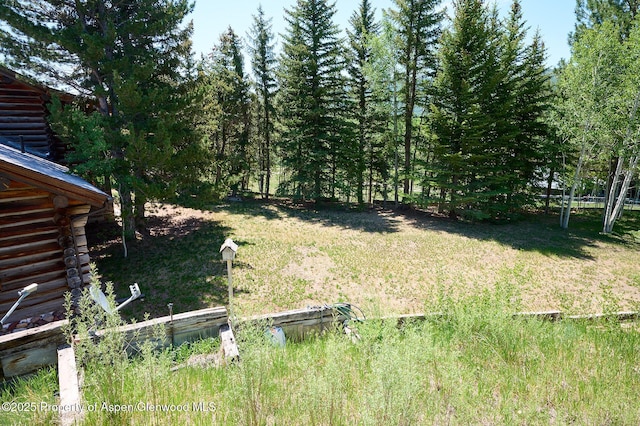 63 Alexander Ave, Snowmass, CO 81654 - view of grassy yard