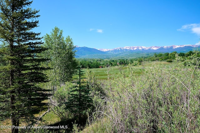 63 Alexander Ave, Snowmass, CO 81654 - view of mountain background