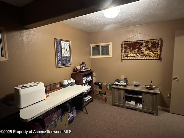 595 Colorado St, Craig, CO 81625 - office with carpet and a textured ceiling