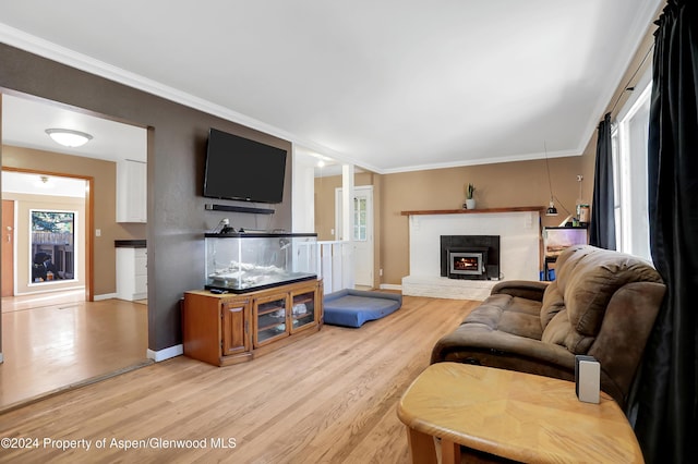 living room featuring light wood-type flooring and ornamental molding