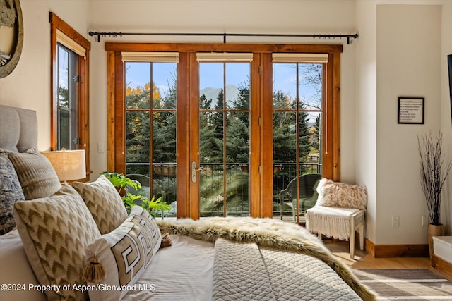 entryway with a healthy amount of sunlight and light hardwood / wood-style floors