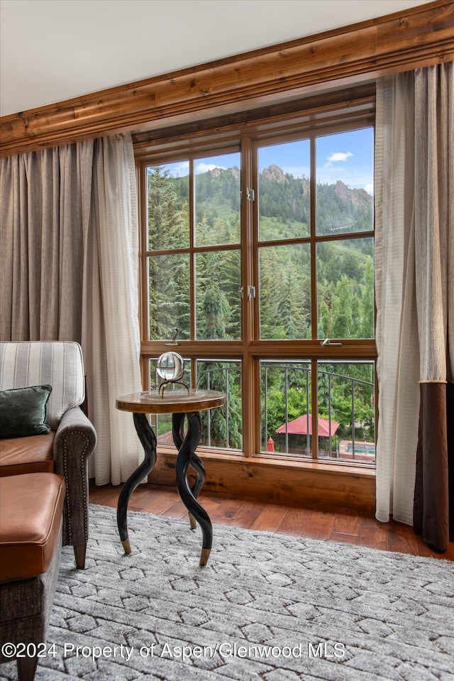 sitting room with a mountain view, light hardwood / wood-style flooring, and a healthy amount of sunlight