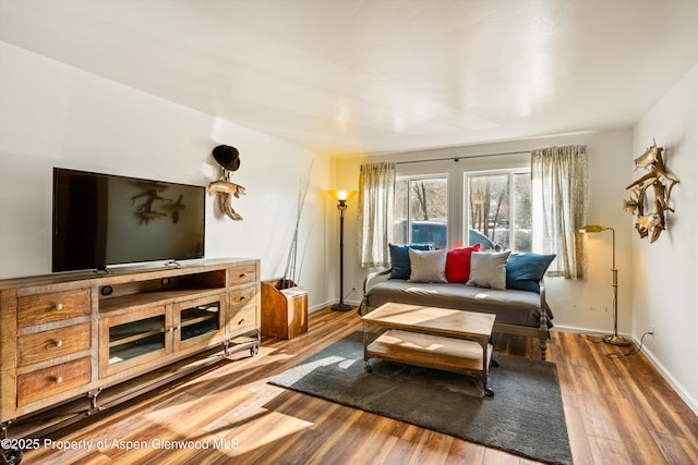 3215 Hager Ln Unit 2, Glenwood Springs, CO 81601 - living room with baseboards and wood finished floors
