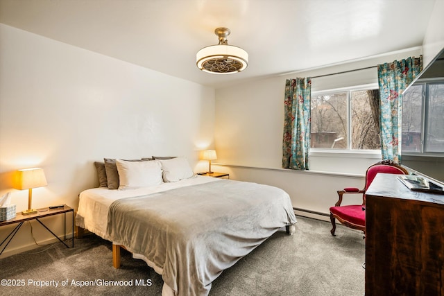 3215 Hager Ln Unit 2, Glenwood Springs, CO 81601 - bedroom featuring a baseboard radiator and carpet floors