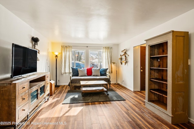 3215 Hager Ln Unit 2, Glenwood Springs, CO 81601 - living area with baseboards and wood finished floors