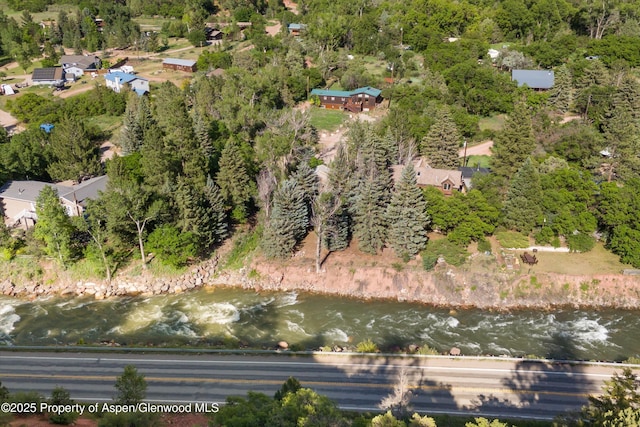 116 S Bill Creek Rd, Carbondale, CO 81623 - aerial view of property and surrounding area