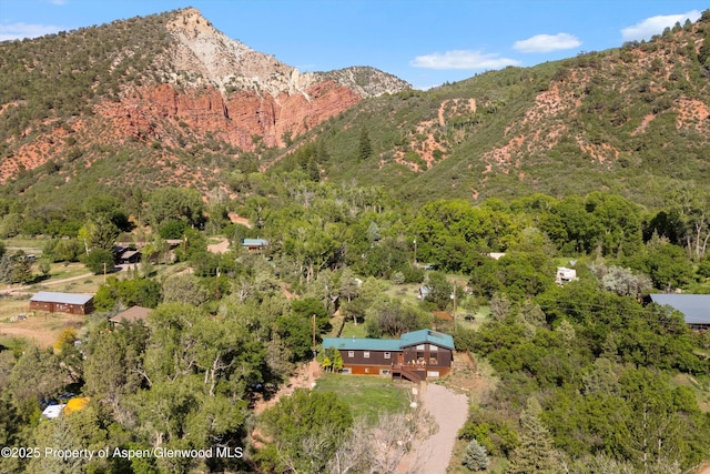 116 S Bill Creek Rd, Carbondale, CO 81623 - view of mountain background