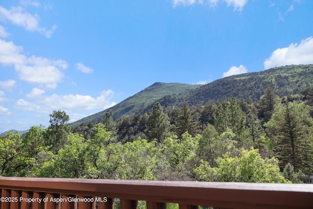 116 S Bill Creek Rd, Carbondale, CO 81623 - view of mountain backdrop with a forest