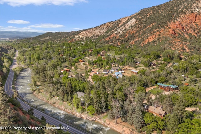 116 S Bill Creek Rd, Carbondale, CO 81623 - view of mountain background