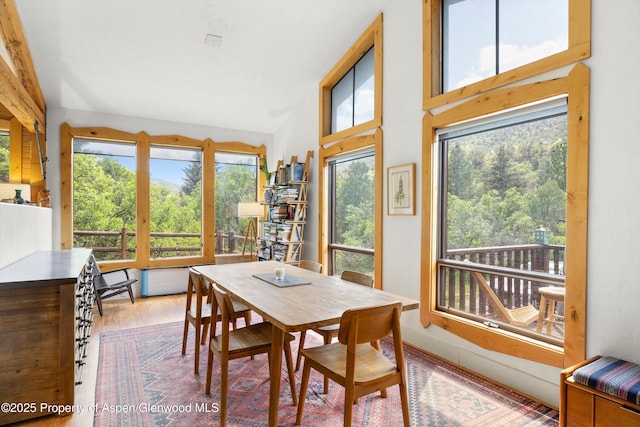 116 S Bill Creek Rd, Carbondale, CO 81623 - dining space with wood finished floors