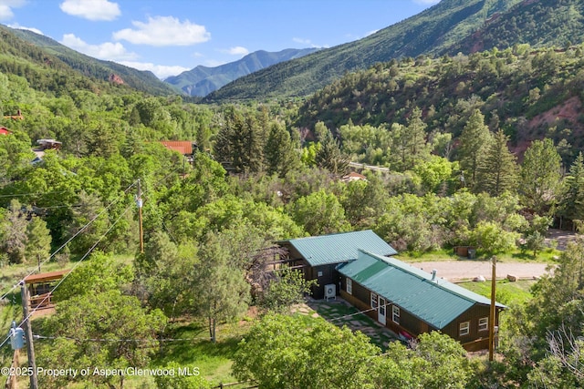 116 S Bill Creek Rd, Carbondale, CO 81623 - view of mountain background featuring a heavily wooded area