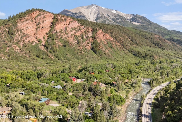 116 S Bill Creek Rd, Carbondale, CO 81623 - view of mountain backdrop featuring a forest