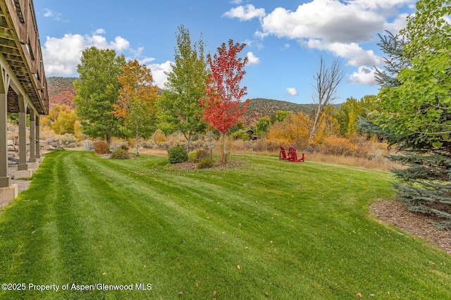 view of yard with a mountain view