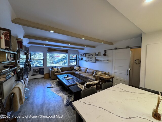 927 Vine St, Aspen, CO 81611 - photo 4
