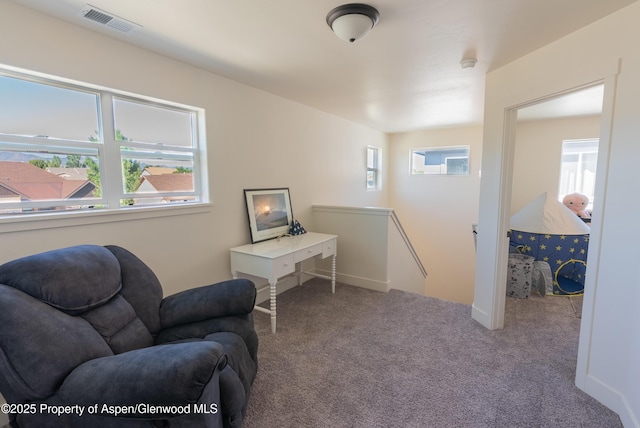 1149 E 17th St, Rifle, CO 81650 - sitting room featuring an upstairs landing and carpet flooring