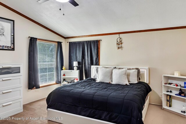 1814 Fawn Ct, Silt, CO 81652 - photo 21