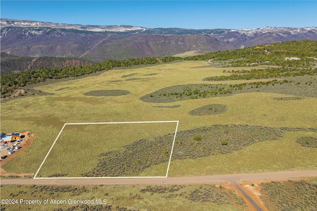 2777 Elk Springs Dr, Glenwood Springs, CO 81601 - photo 4
