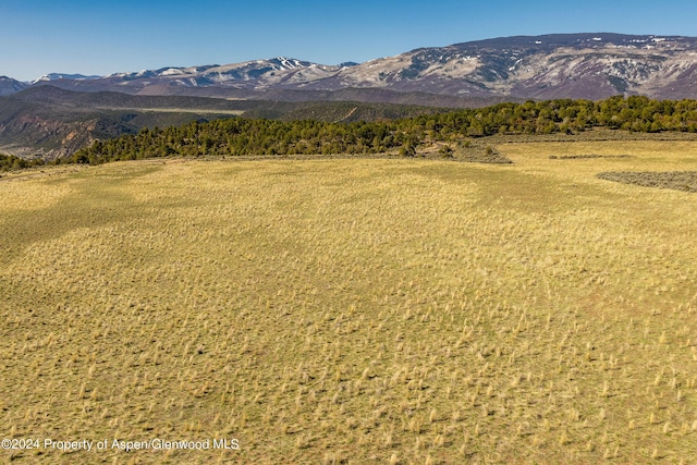2777 Elk Springs Dr, Glenwood Springs, CO 81601 - photo 18