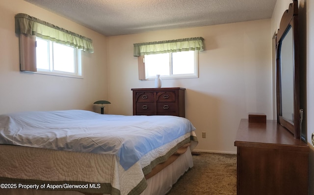 936 Legion St, Craig, CO 81625 - bedroom featuring multiple windows, carpet flooring, and a textured ceiling