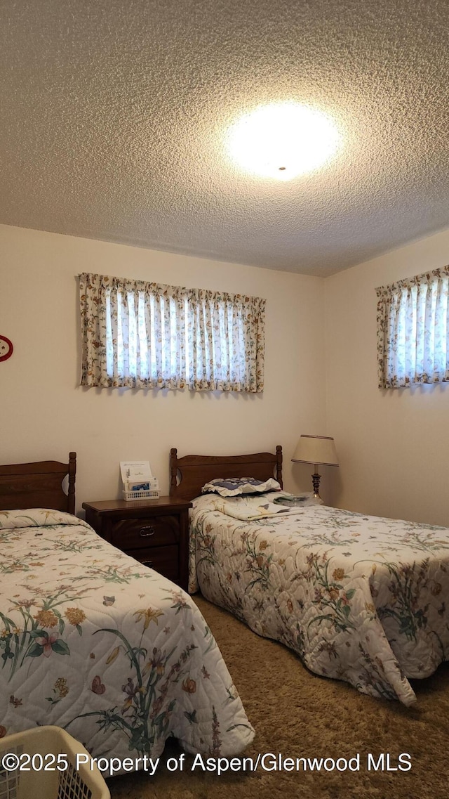 936 Legion St, Craig, CO 81625 - bedroom with carpet and a textured ceiling