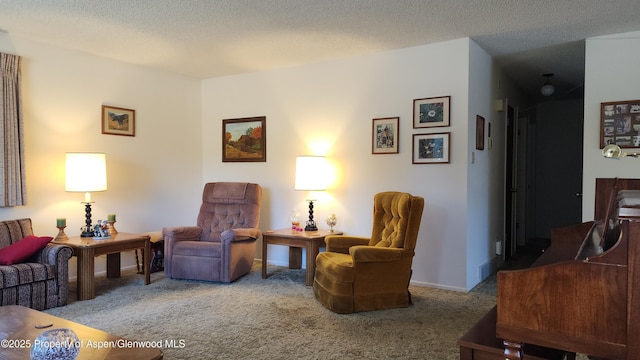 936 Legion St, Craig, CO 81625 - carpeted living area with a textured ceiling