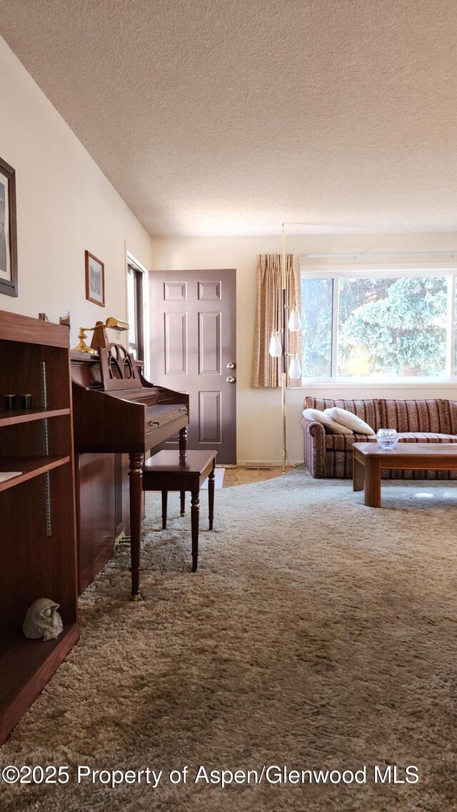 936 Legion St, Craig, CO 81625 - interior space with a textured ceiling and carpet