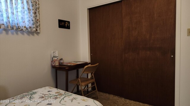 936 Legion St, Craig, CO 81625 - view of carpeted bedroom