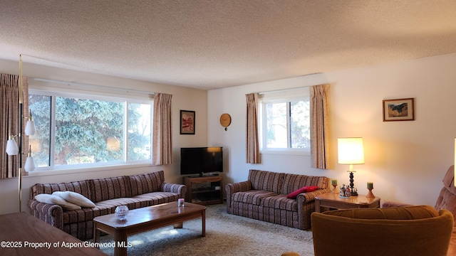 936 Legion St, Craig, CO 81625 - carpeted living room featuring a textured ceiling