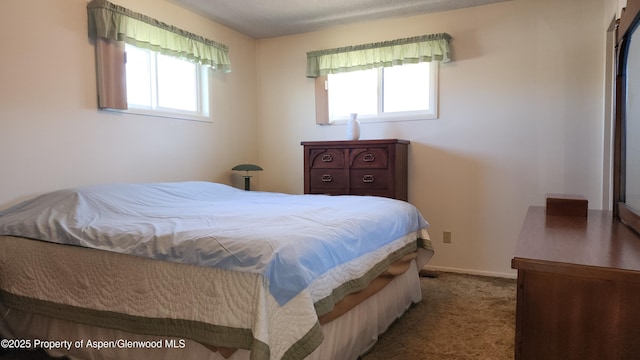 936 Legion St, Craig, CO 81625 - bedroom featuring carpet and multiple windows