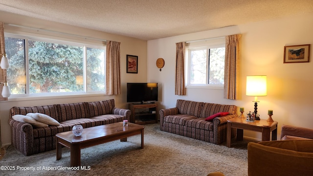 936 Legion St, Craig, CO 81625 - living room featuring carpet flooring and a textured ceiling