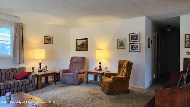 936 Legion St, Craig, CO 81625 - carpeted living area with a textured ceiling