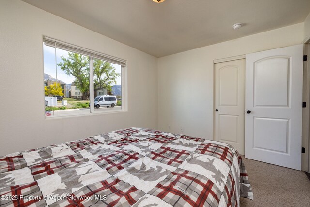165 Harris Ln, Parachute, CO 81635 - carpeted bedroom with a closet