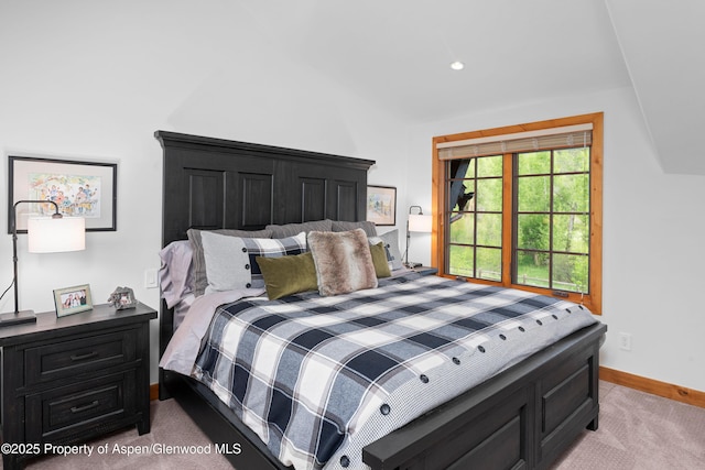 236 Bristlecone Dr, Carbondale, CO 81623 - bedroom with light carpet and baseboards