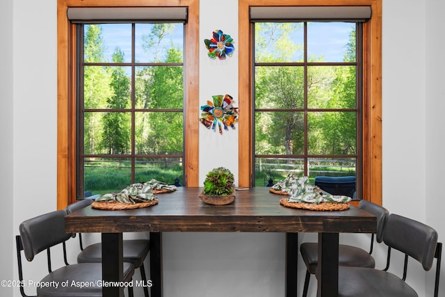236 Bristlecone Dr, Carbondale, CO 81623 - view of dining area