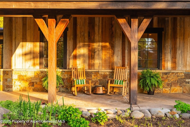 236 Bristlecone Dr, Carbondale, CO 81623 - view of covered porch