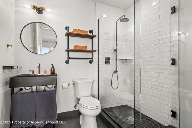 3898 Crystal Bridge Dr, Carbondale, CO 81623 - photo 31