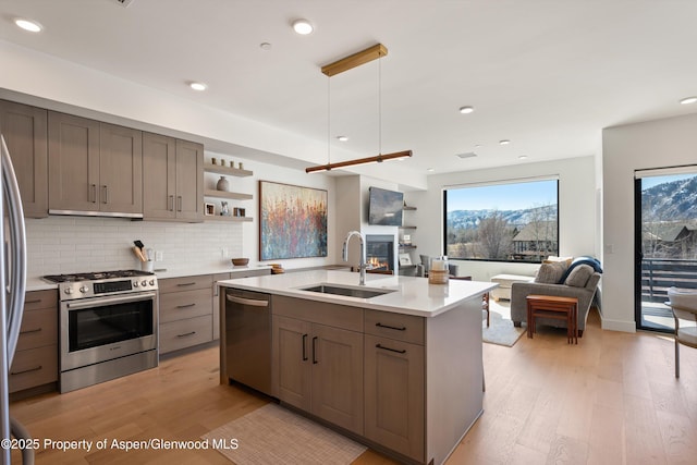 kitchen with light wood finished floors, open floor plan, gray cabinets, appliances with stainless steel finishes, and a sink