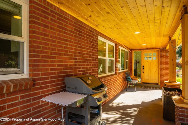 341 Park Dr, Glenwood Springs, CO 81601 - covered porch with a grill